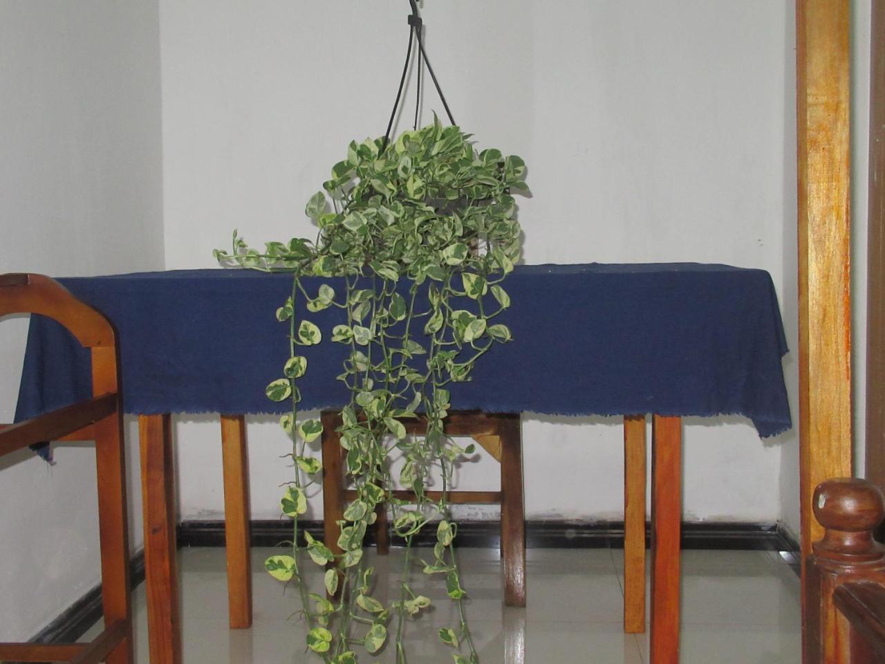 Timasha Home Stay Tangalle Ngoại thất bức ảnh
