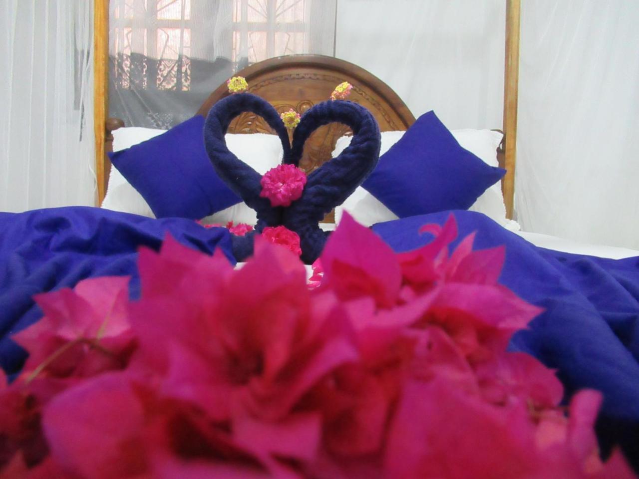 Timasha Home Stay Tangalle Ngoại thất bức ảnh